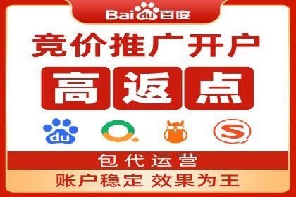 案例解析：SEM助力电商行业快速发展